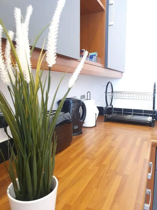 Contemporary Modern Studio Apartment - City Centre Μπέρμιγχαμ Εξωτερικό φωτογραφία